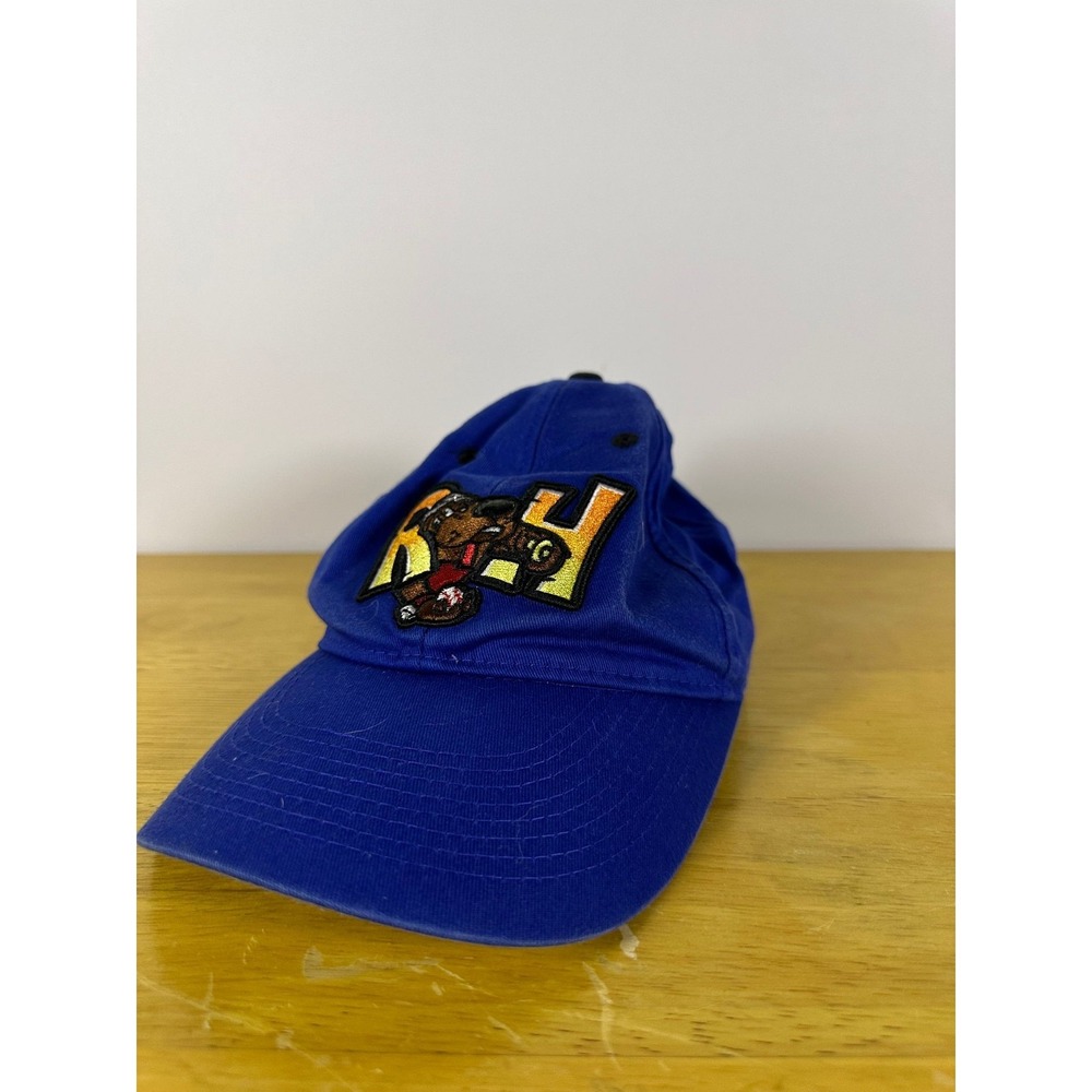 OC Sports MLB Minor League Baseball Cap Unisex One Size Blue Dog Logo Patch